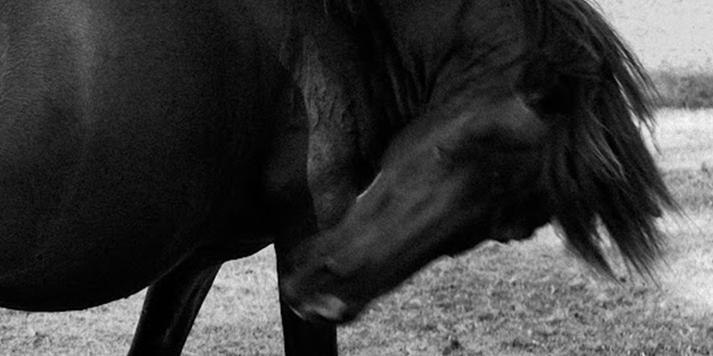 mdoc residência fotográfica