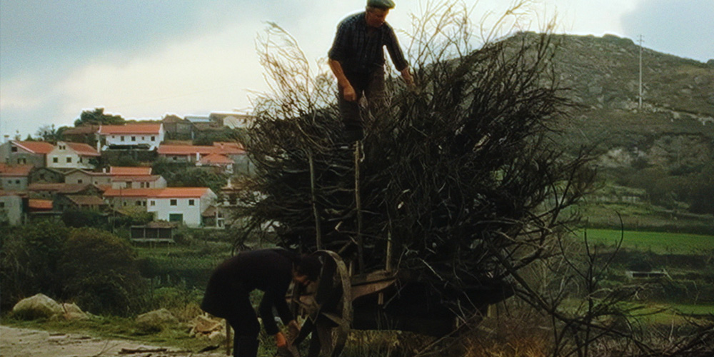 Occupied Territories