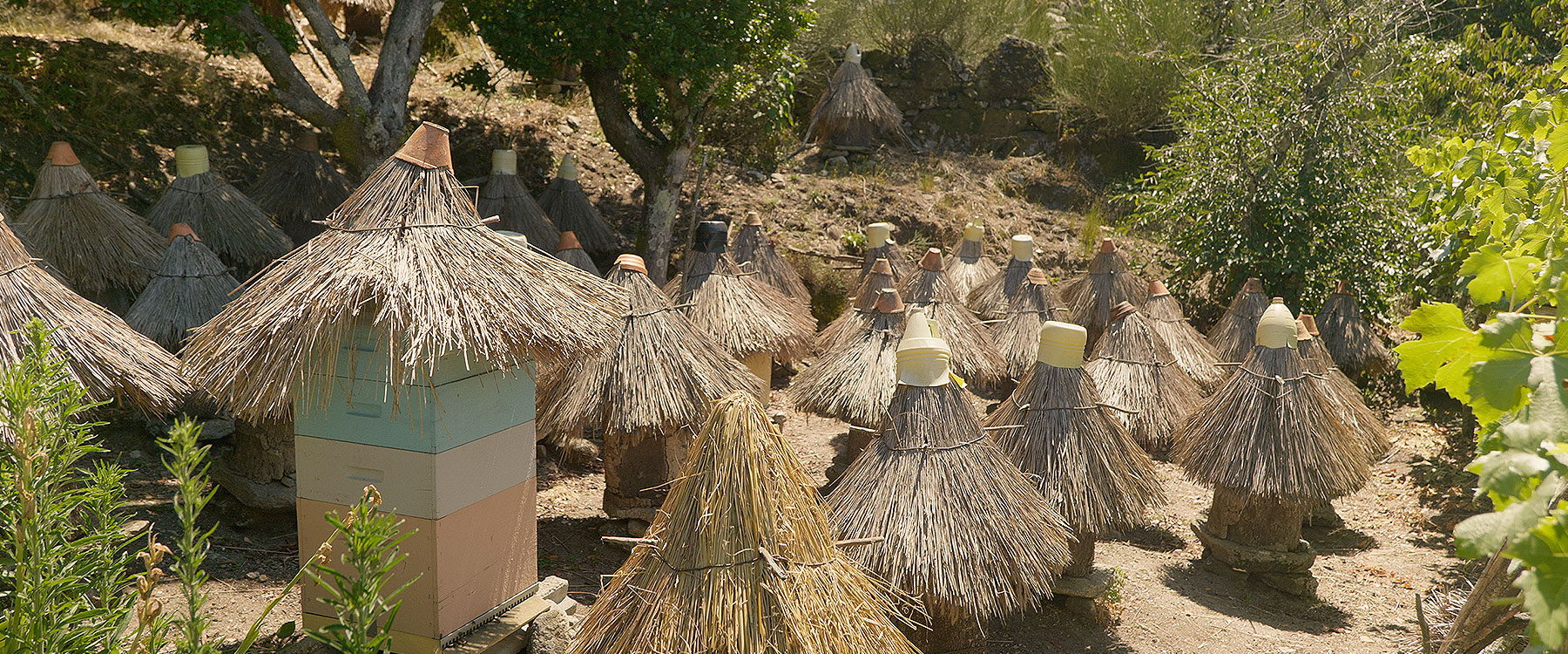 Filhos do vosso amor