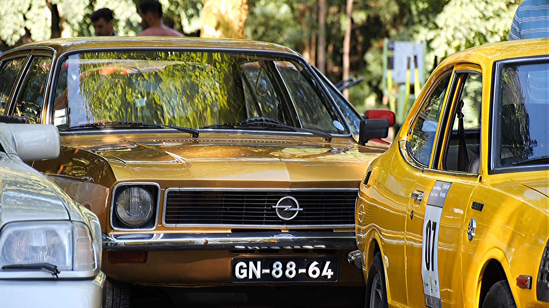 mdoc festival PO-19-51