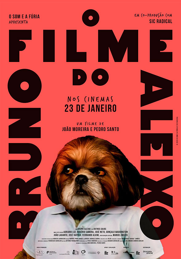 o filme do bruno aleixo