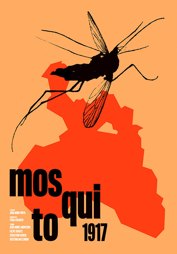 mosquito